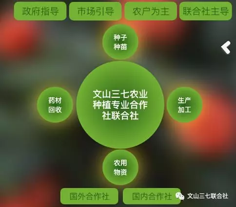 行业动态_绿色三七 共建 共享 共赢(2).jpg